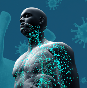 דלקות אם כל המחלות